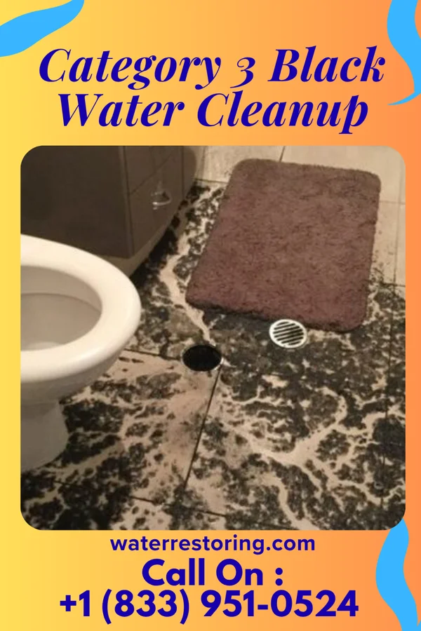 Category 3 Black Water Cleanup in Mesa, WA